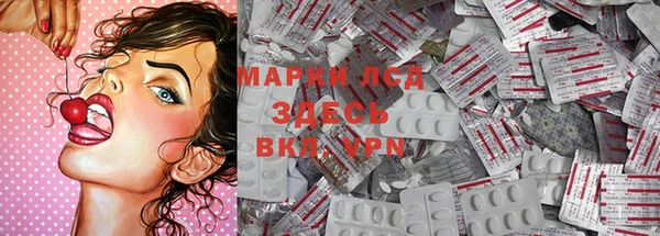дживик Осташков