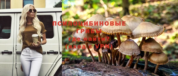 герыч Пестово