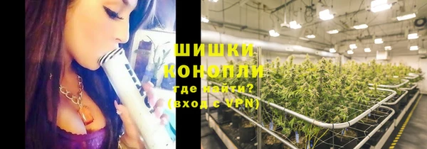 дживик Осташков