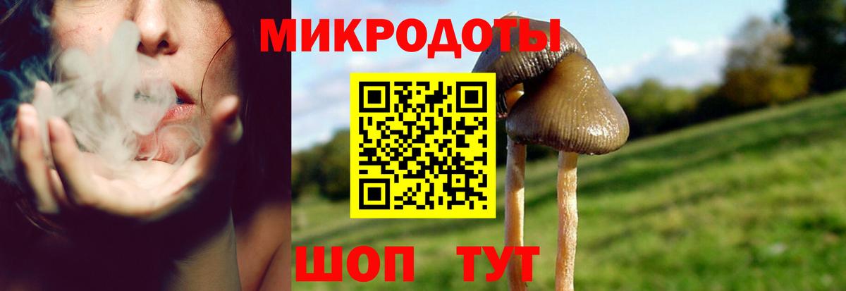 Галлюциногенные грибы MAGIC MUSHROOMS  Вход с VPN  Мичуринск  Галлюциногенные грибы Psilocybe 